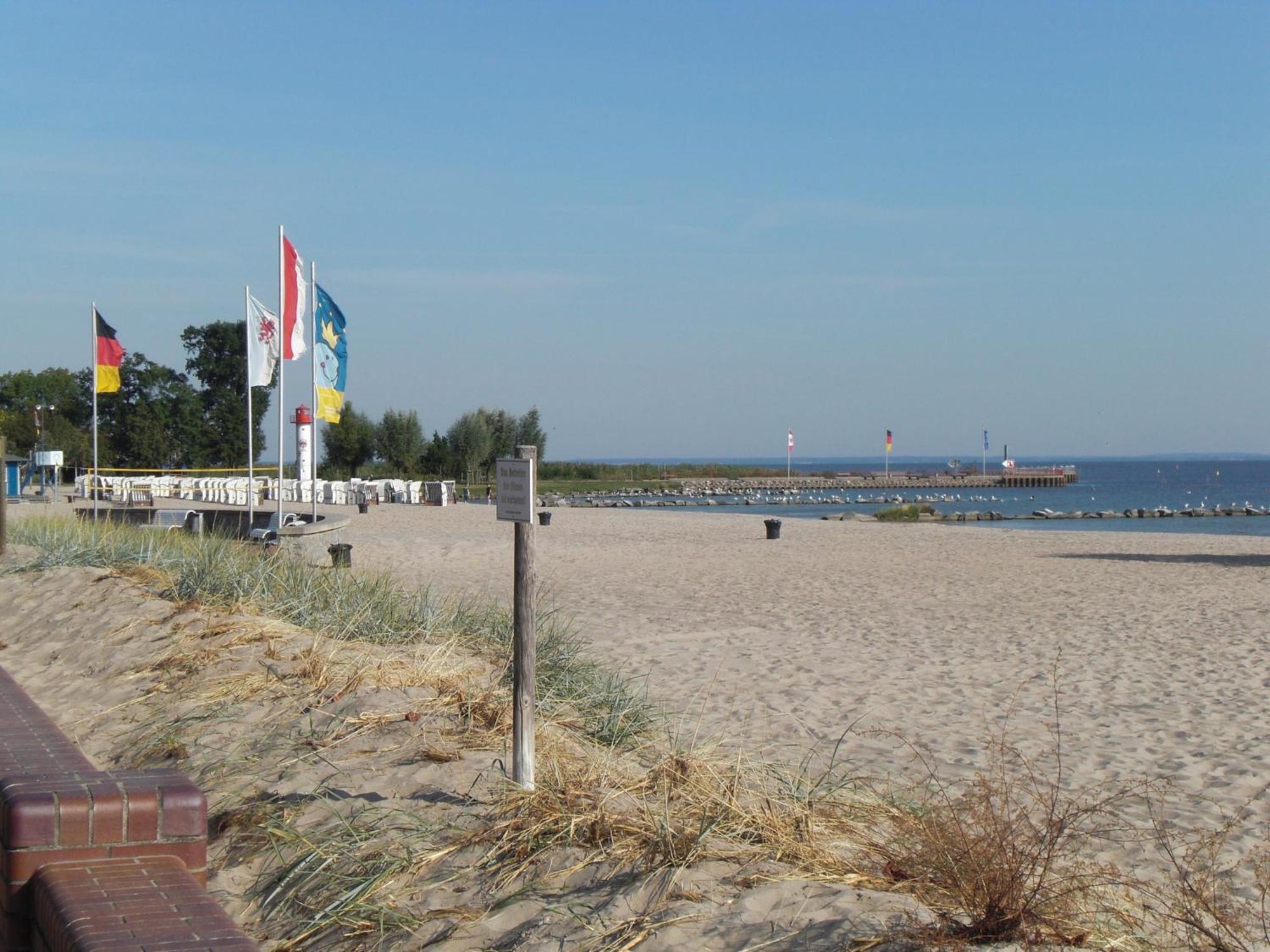 Kleine Sonnenblume Διαμέρισμα Ueckermünde Εξωτερικό φωτογραφία
